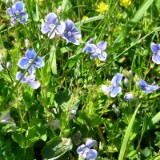 0905F 10 Stendal-Hamburg : elbe